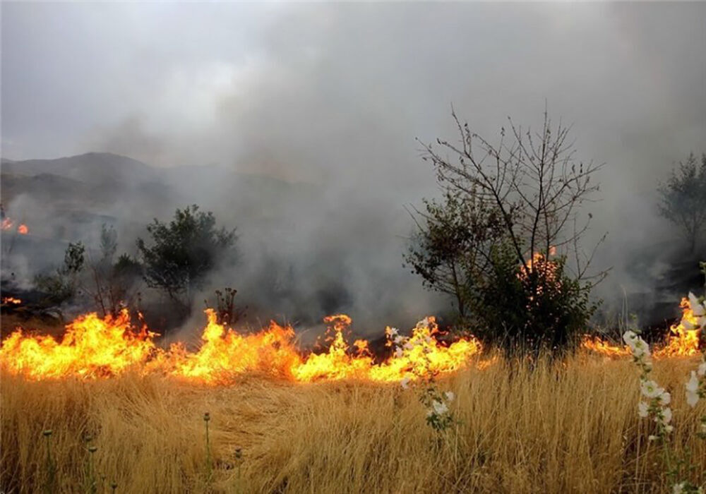 مهار آتش سوزی در اراضی جنگلی میناب