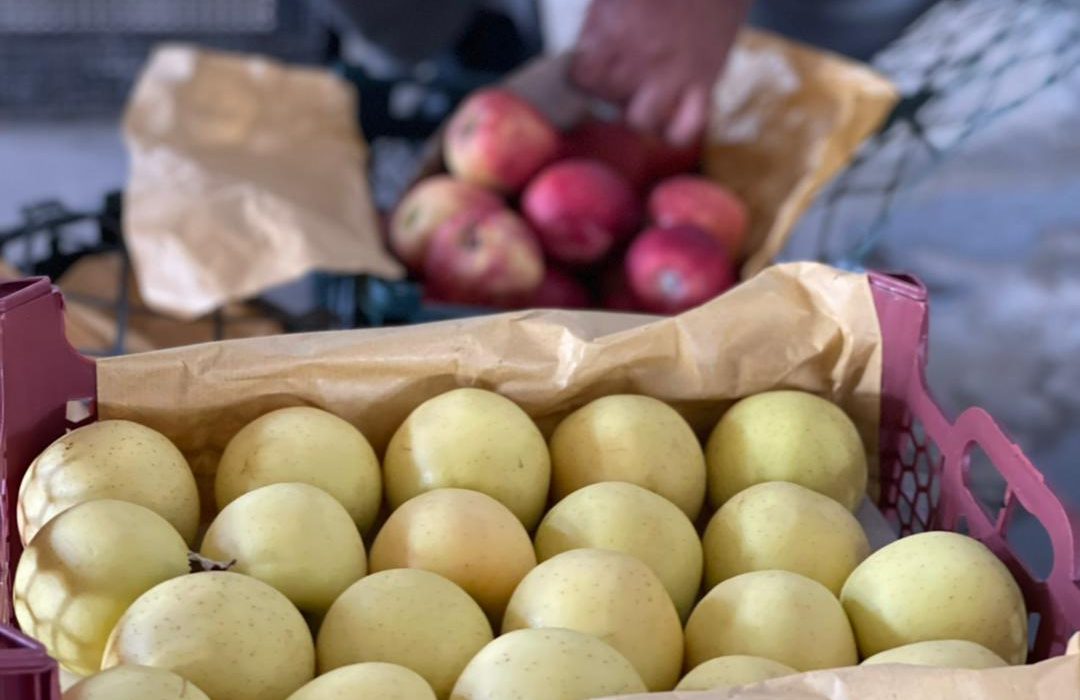 توزیع بیش از ۵۰۰ تن میوه شب عید در تعاون روستایی شهرستان بندرعباس