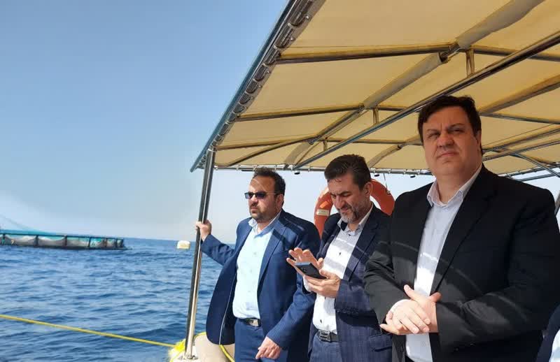 بازدید رئیس سازمان شیلات ایران از بزرگترین پروژه پرورش ماهی در دریا