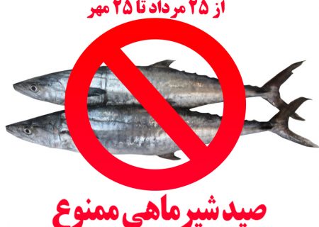 ممنوعیت صید ماهی شیر به روش گوشگیر از ۲۵مراد به مدت شصت روز