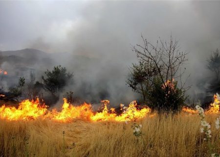 مهار آتش سوزی در اراضی جنگلی میناب