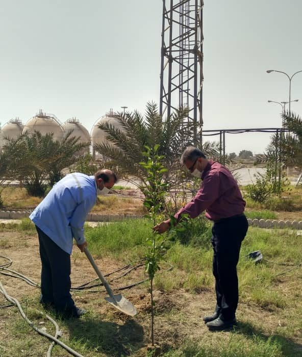 گرامیداشت روز درختکاری در منطقه خلیج فارس