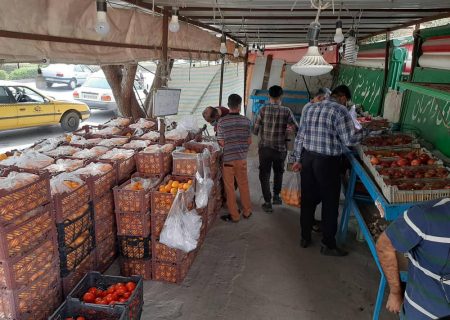 توزیع ۱۰۰تن میوه تنظیم بازار توسط تعاون روستایی هرمزگان