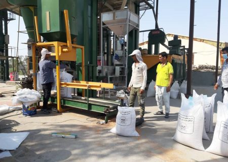 توزیع بذر گندم اصلاح شده در حاجی آباد آغاز شد