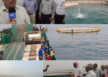 توسعه و رونق مزارع پروش ماهی در قفس با مشارکت جامعه صیادی هرمزگان