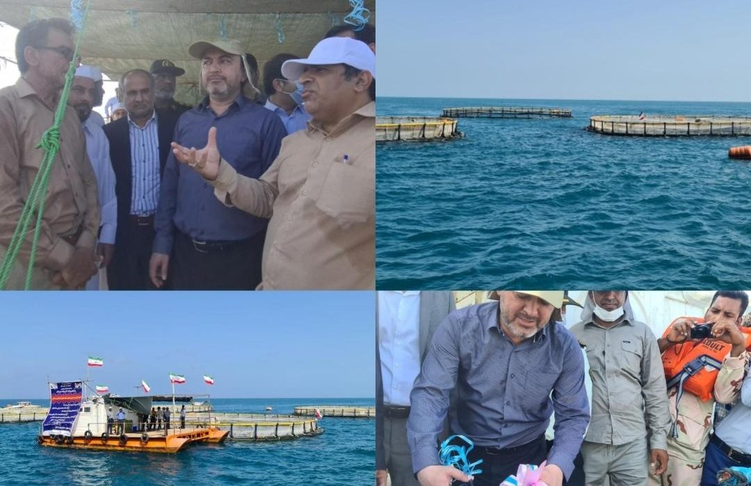 افتتاح فاز اول مزرعه پرورش ماهی در قفس  شرکت تعاونی صیادی ملاح ماهی بندر کلاهی