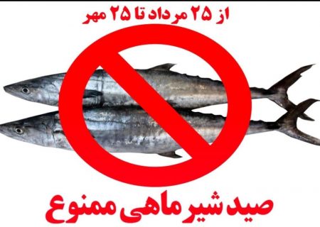 ممنوعیت صید ماهی شیر به روش گوشگیر در آب‌های هرمزگان
