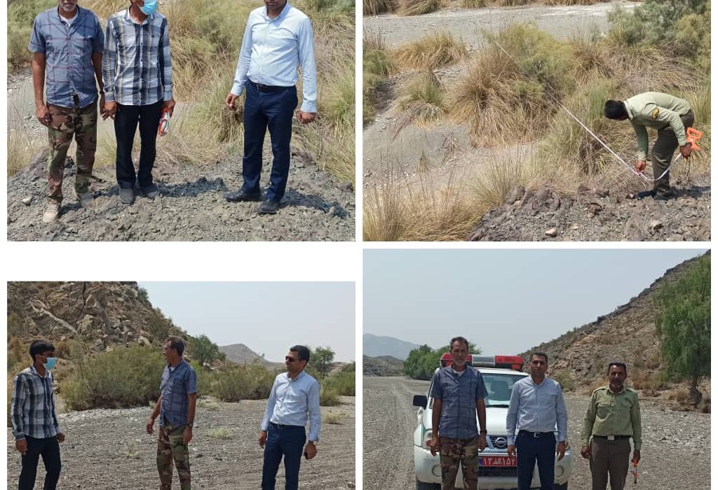 مکانیابی سازه آبخیزداری حوزه نازشت شهرستان رودان
