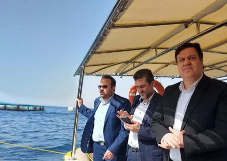 بازدید رئیس سازمان شیلات ایران از بزرگترین پروژه پرورش ماهی در دریا