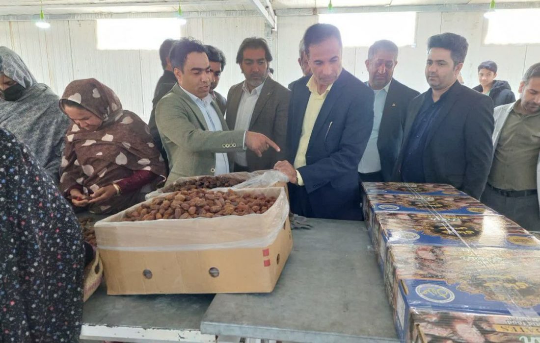 افتتاح طرح تکمیلی بسته بندی خر ما در حاجی آباد
