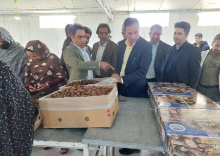 افتتاح طرح تکمیلی بسته بندی خر ما در حاجی آباد