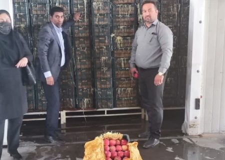 ۲۰۰ تن سیب درختی در سردخانه رودان ذخیره سازی شد