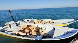 دو فروند قایق حامل دام زنده در آب‌های بندرلنگه