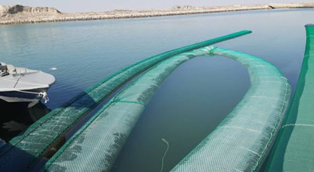 توقیف ۳ مشک بزرگ ماری در آبهای خلیج فارس