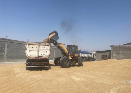 خرید تضمینی ۲۸ هزارتن گندم توسط تعاون روستایی هرمزگان