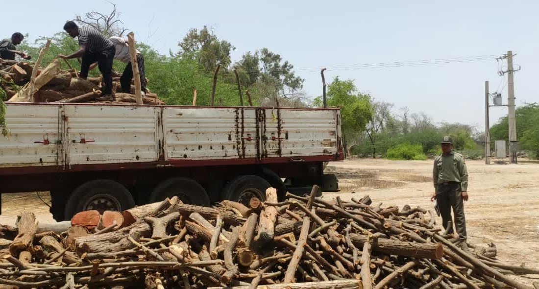 توقیف محموله چوب غیر مجاز به میزان ۲۵تن در جاده های مواصلاتی شهرستان بندرعباس