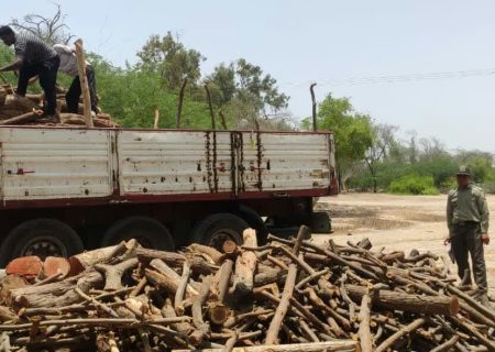 توقیف محموله چوب غیر مجاز به میزان ۲۵تن در جاده های مواصلاتی شهرستان بندرعباس