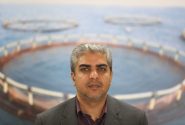 افزایش قیمت آبزیان و بی خیالی مسئولان شیلات هرمزگان!