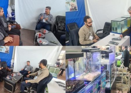 تبدیل هرمزگان به یکی از قطب های تکثیر و پرورش ماهیان زینتی در آینده ای نزدیک