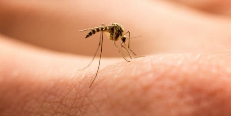 کشور ایران و هرمزگان در آستانه حذف بیماری مالاریا قرار دارد 