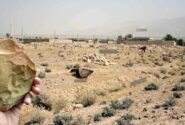 دهتل؛ قدیمی‌ترین سکونت‌گاه شناسایی شده در سواحل و پس‌کرانه‌های شمال خلیج فارس