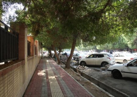 ترمیم و ساماندهی جداول و اصلاح و بهسازی مسیر آب رو در کوچه های صحیفه