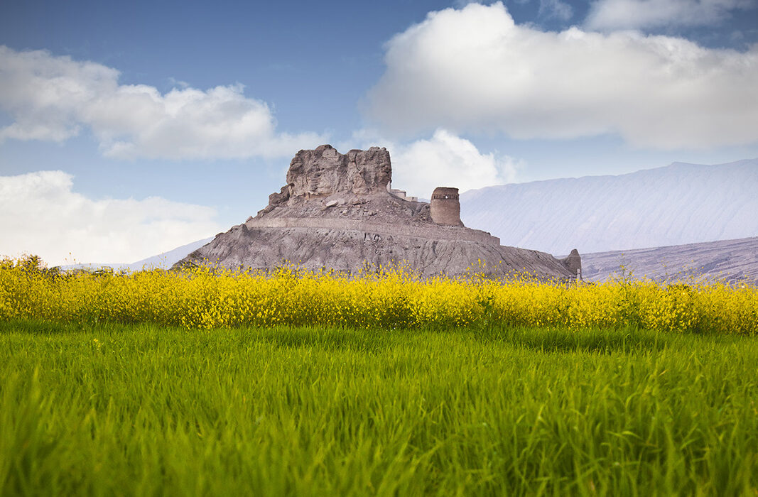 فین در مسیر حفاظت و مرمت مستمر