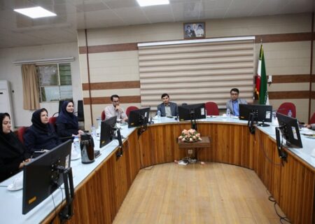 تأکید بر هم‌افزایی دستگاه‌ها در نشست دانشگاهی پیشگیری از سقط در هرمزگان