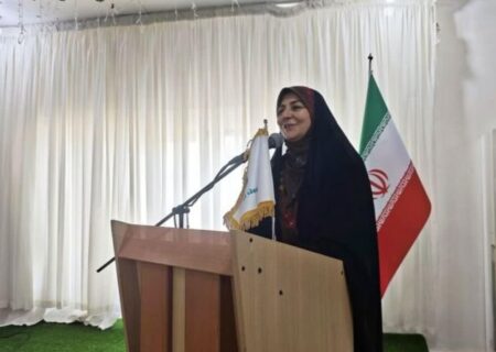 مدیرکل فرهنگ و ارشاد اسلامی هرمزگان: تثبیت عضویت دائم هنرمندان مینابی در صندوق اعتباری هنر