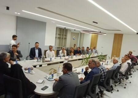 دغدغه هنرمندان پارسیان به حق است