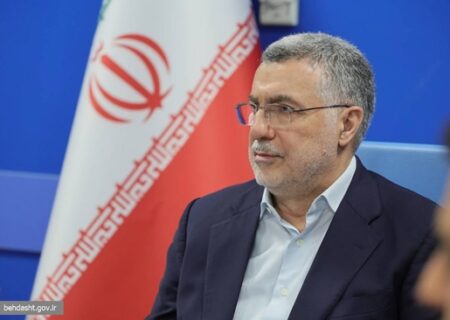 وزیر بهداشت بر تدوین برنامه ویژه حمایت روانی از مردم میناب تأکید کرد