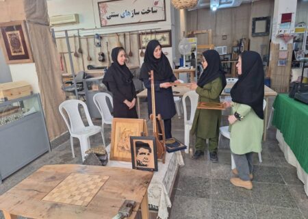 تقدیر جامعه معلولین استان هرمزگان از معاونت و کارشناسان صنایع‌دستی
