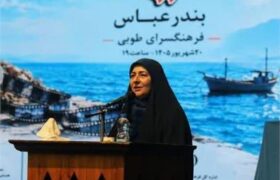 هرمزگان به استقبال روز ملی سینما رفتند