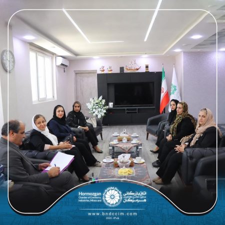 بررسی چالش‌های مالیاتی بانوان فعال اقتصادی هرمزگان در نشست با مدیرکل امور مالیاتی استان