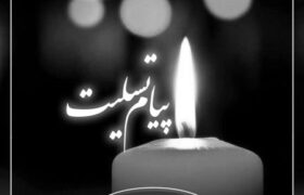 پیام تسلیت اتاق هرمزگان در پی درگذشت مادر گرانقدر دکتر محمد آشوری استاندار استان هرمزگان